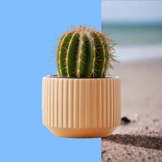 Blue Background